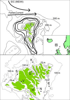 Relationship between plankton dynamics and growth of the long-lived clam Arctica islandica on the Faroe shelf